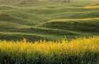 Vanzare Teren Extrav. Arabil, Pășune Chesint, Zabrani 1ha - 48.86ha - 5