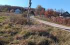 Teren langa Padure Dragomirna 40 Ari ISuceava/Dragomirna I 60.000Euro - 5