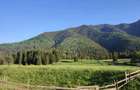 Teren PIATRA FANTANELE - 11.800 mp- ideal investitie, pensiune, hotel - 2