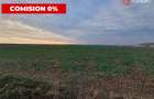 COMISION 0% Teren extravilan agricol 10.000 mp la sosea in Sag - 3