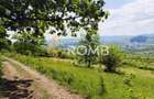 Teren vanzare Centura Donath Nord, 2900 mp - 2