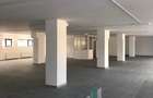 Spațiu Comercial de închiriat | 612 mp+Terasă | 10 Parcări | Corneliu Coposu - 2