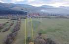 Teren 5.800 mp Purcareni curent, gaz, apă / Strada 30 decembrie - 4