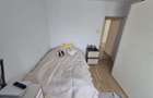 AP. 3 CAMERE- IANCULUI, PET-FRIENDLY, REABLITAT, MASINA DE SPALAT VASE - 5