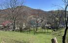 Teren 1,106mp Baia Mare / Strada Firiza - 11