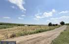 Vanzare Teren cu potențial excelent de vânzare – Zona Smârdan! - 5