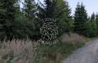 Teren 19,500 mp (1,95 Ha)-curent-ideal cabane-Colibita - 3
