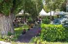 Spatiu  comercial -Parc Herastrau - 5
