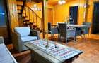 Vila + Afacere 15.000mp Clinceni - 10