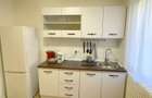 Apartament 2 camere-Take Ionescu Timisoara - 5