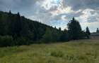 PARCELE DE VÂNZARE, pe malul râului BÂSCA, COMANDAU, COVASNA - 8
