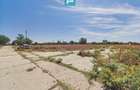 Teren intravilan 146.866 mp | Jimbolia - 16