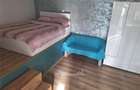 Apartament 1 Copou- Negruzzi- 450 euro - 4