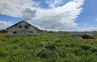 Teren parcelabil, 4,1 Ha, Brașov - Bod. Negociabil! - 6