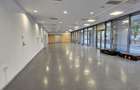 Pantelimon spatiu comercial 950 mp - 1