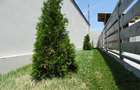 Case Popesti Leprdeni Vanzare - 4