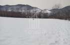 Teren intravilan 2.295 mp, deschidere 60 m – Rășinari, comision 0% - 6