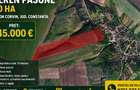 Teren extravilan 10 Ha, pasune, Ion Corvin, Constanta - 1
