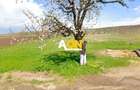 Teren intravilan, 3600 mp, la sosea, toate utilitatile, Oarda de Jos - 1