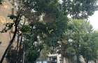 Apartament 3 camere Dorobanti prima inchiriere - 13