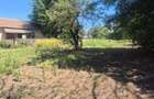 23 August teren intravilan 1400 mp + casa 5 camere central - 4