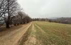 Teren deosebit 3,5HA zona Cisnadioara - 5