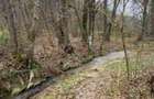 Teren intravilan 6.500 m²–Deschidere 144 ml drum european E81, km 35, Morăresti - 3