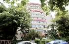 TEIUL DOAMNEI, BLOC 1984, DECOMANDAT, RENOVAT, NEMOBILAT, 0% COMISION! - 15