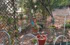 Apartament 2 camere 1 Decembrie 1918-Metrou - 10