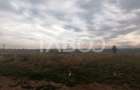 Teren intravilan de vanzare 3421 mp cu deschidere de 180 m Turnisor - 2