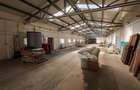 Hala Industriala Renovata + 1500 MP Teren Halchiu - 8