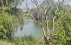 Teren Corbeanca Tamasi vsv de Paradisul verde 16000 mp deschidere lac - 1