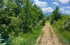 Teren intravilan 3900 mp Porumbacu de Sus, Sibiu - 9