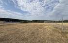 TEREN INVESTITIE | PANORAMA | 4.350 MP | SAUAIEU | BIHOR - 2