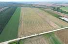 Teren intravilan de vanzare, 66400 mp, langa Oradea, Bihor - 2