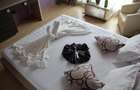 HOTEL 3 STELE, 5 NIVELE, MAMAIA NORD KM 0 ZONA ALEZZI - 41