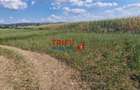 Teren intravilan construibil de 5.900 mp, zonă industrială, Șosea - 7