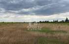 Parcela teren casa, intravilan, 1000 mp, Sanmihaiu Roman - 1
