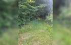 Teren cu potențial turistic, cadru natural rar, 20.000 mp  Sacuieu - 12