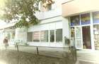 Inchiriere spatiu comercial Teiul Doamnei - 74mp - 9
