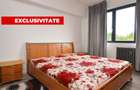INCHIRIERE APARTAMENT 2 CAMERE PIATA MUNCII-VICTOR BABES - 8