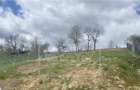 Teren in mijlocul satului Vale - pretrabil casa - utilitati la poarta - 2