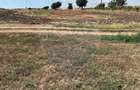 De vanzare teren, intravilan 4000 mp, deschidere 150 m, Fundulea - 8