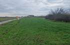 Teren intravilan Fundulea 1.000 mp | Parcelabil | Dublă deschidere | Utilități - 5