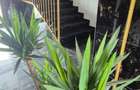 apartament 2 camere - 4