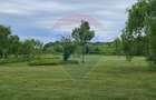 Teren de vanzare 9.7ha | Prahova, Gorgota | 450m de la DN1 - 11