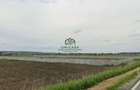 Teren Zona industriala / 2500mp - 3
