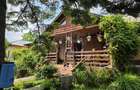 Domeniu rural, gospodarie/multifunctionala cu casa, livada, vie - 1