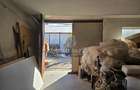 Hala de Vanzare -  Zona Floresti - VID - 1362mp - partial renovata - 8
