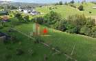 Teren intravilan 3.000–5.000 mp, priveliște panoramică – Bran–Șimon - 4